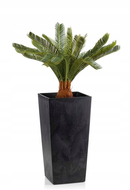 Donkergrijze, hoge vierkante plantenbak met een Sago Palm.