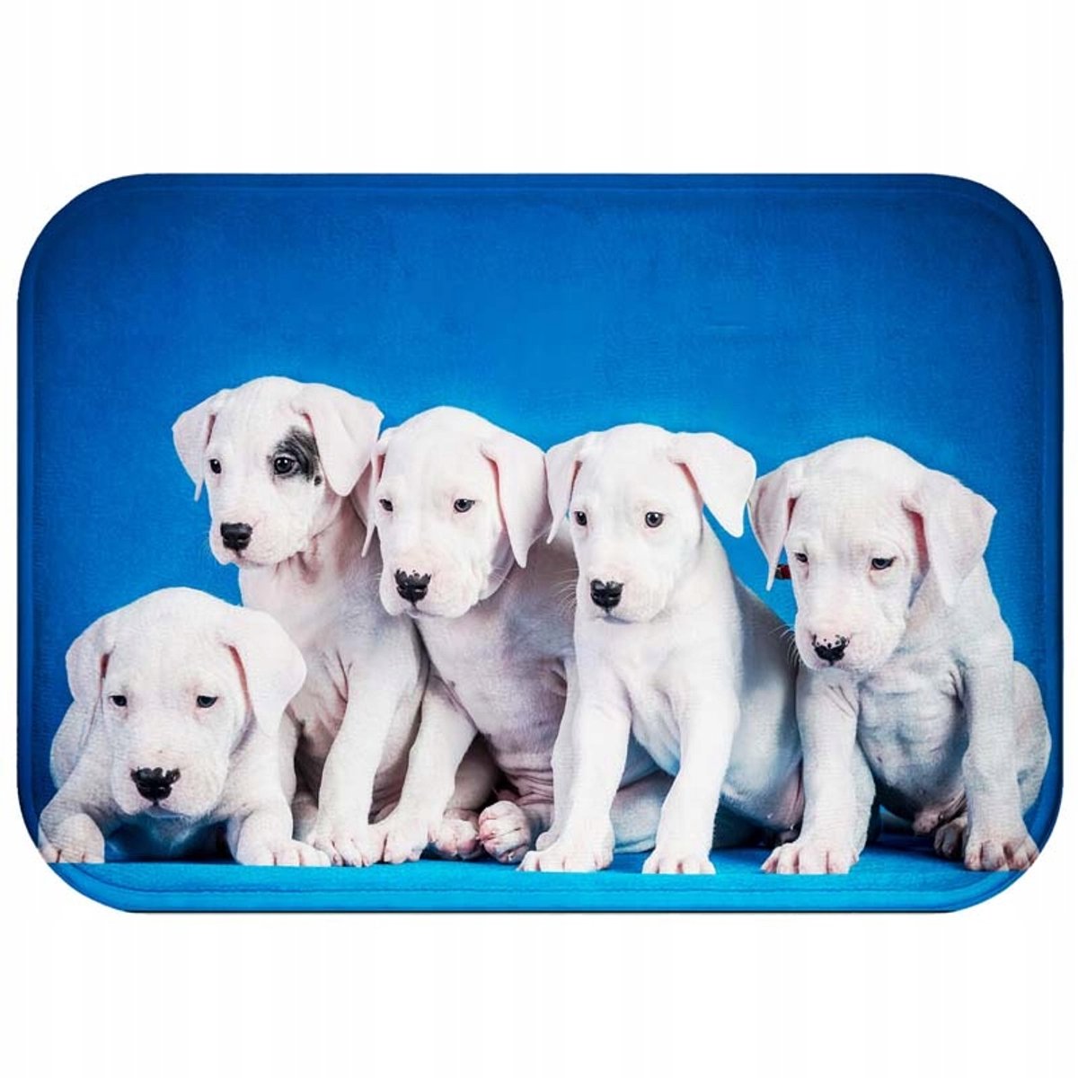Zachte Antislip Badmat 60x40 cm - Sneldrogend & Wasbaar