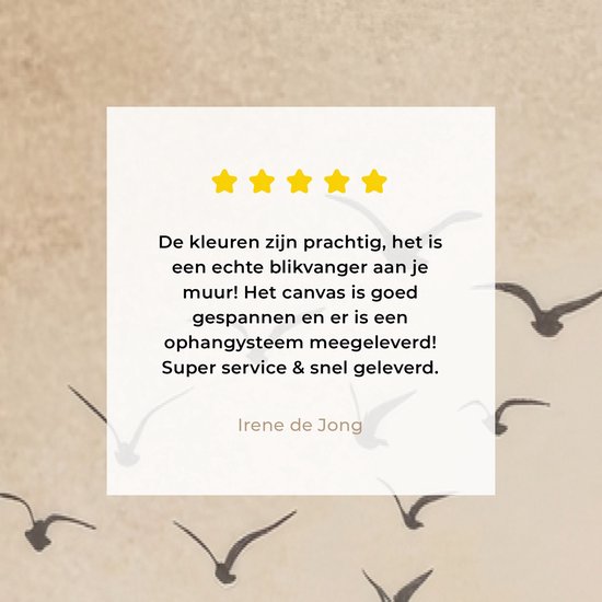 Achtergrond met een beige cirkel en een vliegende groep vogels. Een vierkant met vier sterren en een klantbeoordeling: "De kleuren zijn prachtig, het is een echte blikvanger aan je muur! Het canvas is goed gespannen en er is een ophangsysteem meegeleverd! Super service & snel geleverd! Irene de Jong"