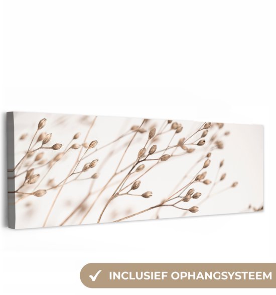 Canvas schilderij 150x50 cm - Wanddecoratie Natuur - Planten - Tak - Wit - Bruin - Droogbloemen - Muurdecoratie woonkamer - Slaapkamer decoratie - Kamer accessoires - Schilderijen op canvas