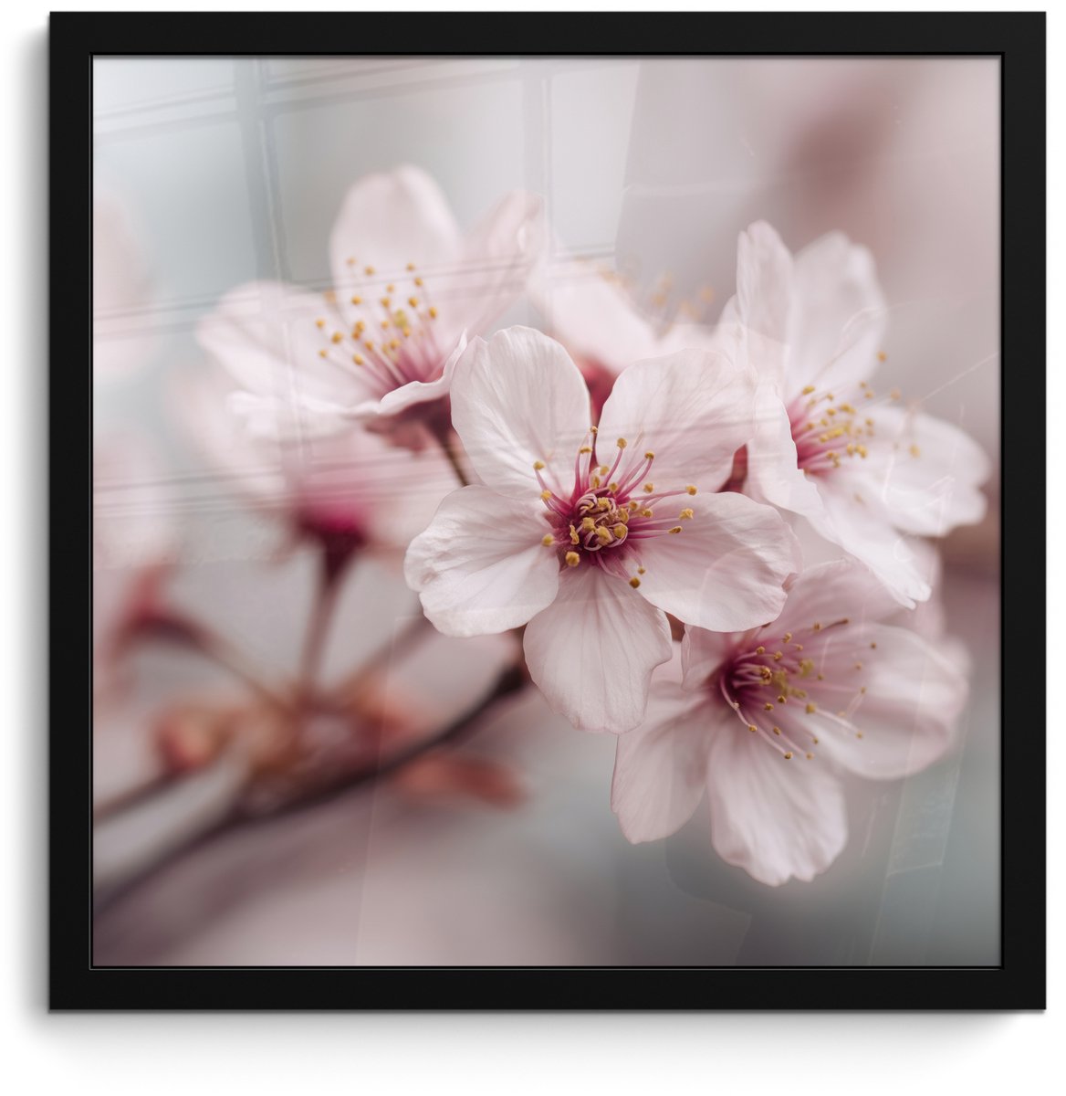 FrameYourWall Poster in lijst - Fotolijst 40x40 cm - Posters - Bloesems - Meeldraden - Geel - Wazig - Posterlijst zwart - Decoratie - Wanddecoratie woonkamer - Muurdecoratie slaapkamer