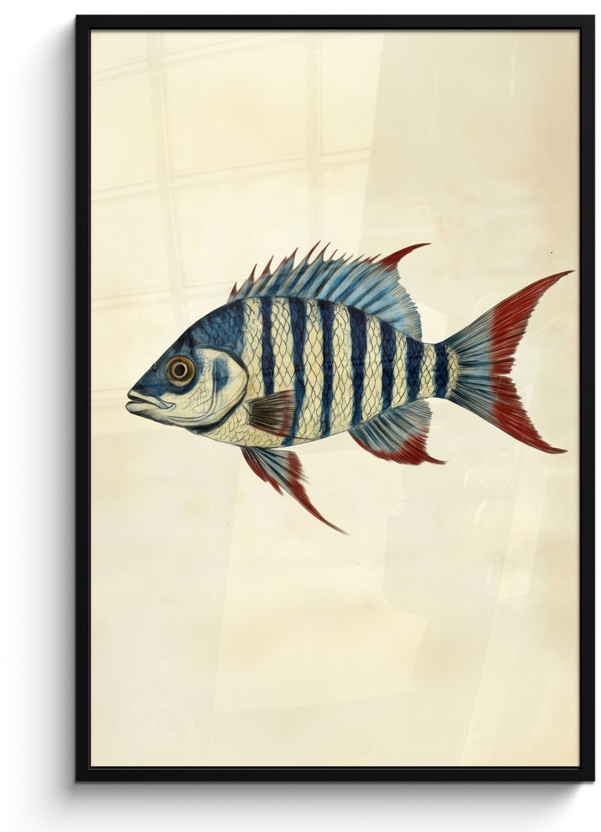 FrameYourWall Poster in lijst - Fotolijst 80x120 cm - Posters - Gestreept - Donkerblauw - Rugvin - Vis - Posterlijst zwart - Decoratie - Wanddecoratie woonkamer - Muurdecoratie slaapkamer Vis - Rugvin