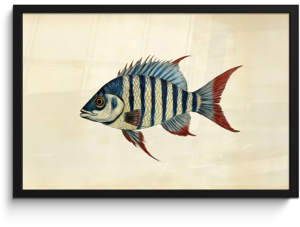 FrameYourWall Poster in lijst - Fotolijst 60x40 cm - Posters - Gestreept - Donkerblauw - Rugvin - Vis - Posterlijst zwart - Decoratie - Wanddecoratie woonkamer - Muurdecoratie slaapkamer Vis - Rugvin