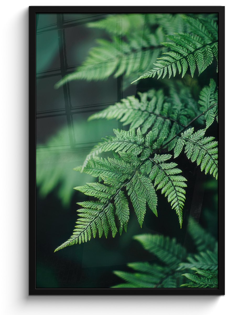 FrameYourWall Poster in lijst - Fotolijst 60x90 cm - Posters - Varenblad - Groen - Structuur - Wazig - Posterlijst zwart - Decoratie - Wanddecoratie woonkamer - Muurdecoratie slaapkamer