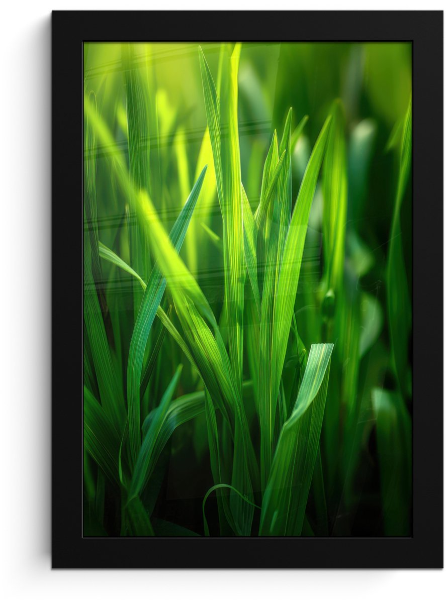 FrameYourWall Poster in lijst - Fotolijst 20x30 cm - Posters - Grassprieten - Lichtinval - Groen - Posterlijst zwart - Decoratie - Wanddecoratie woonkamer - Muurdecoratie slaapkamer