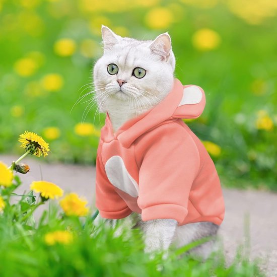 Zilveren kat met groene ogen, draagt een roze hoodie met teddybeer-oren in een tuin met gele bloemen.