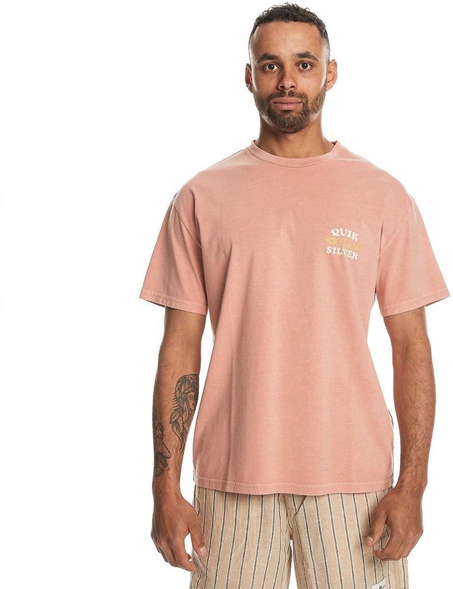 Quiksilver Lifes Quik T-shirt Met Korte Mouwen L Man Canyon Clay