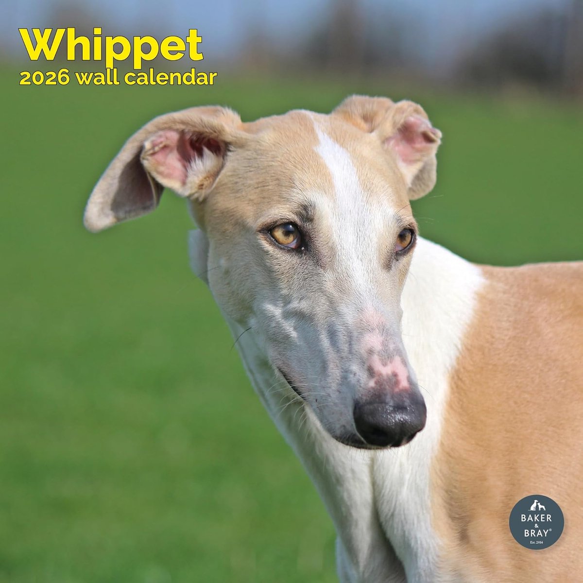 Whippet Kalender 2027