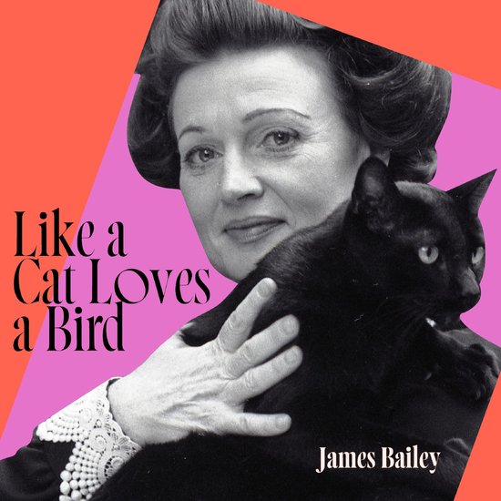 Like a Cat Loves a Bird - cover