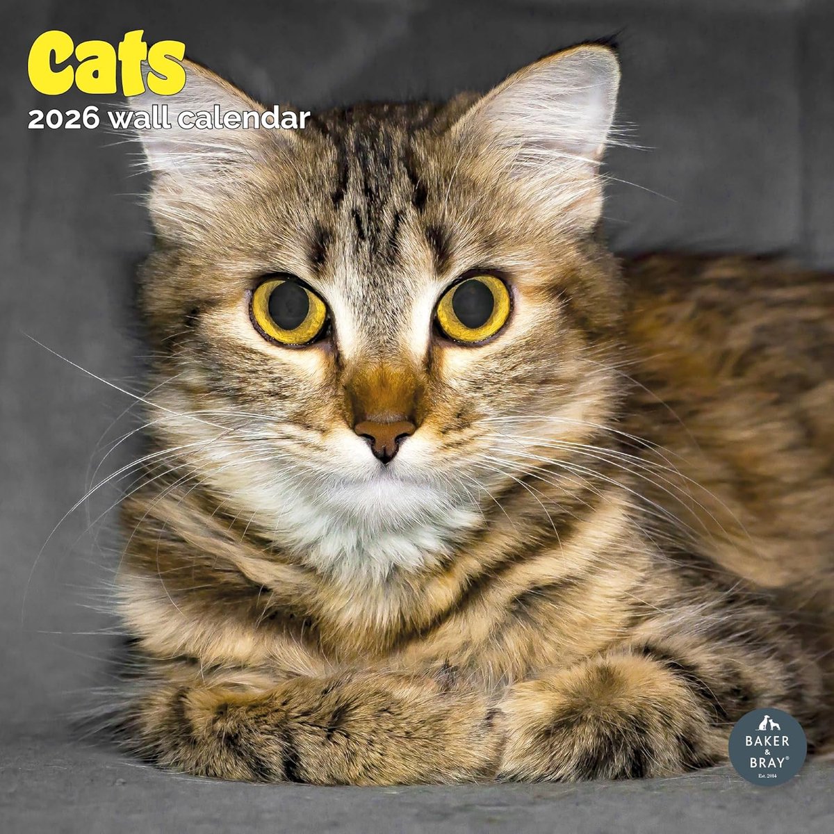 Katten Kalender 2027