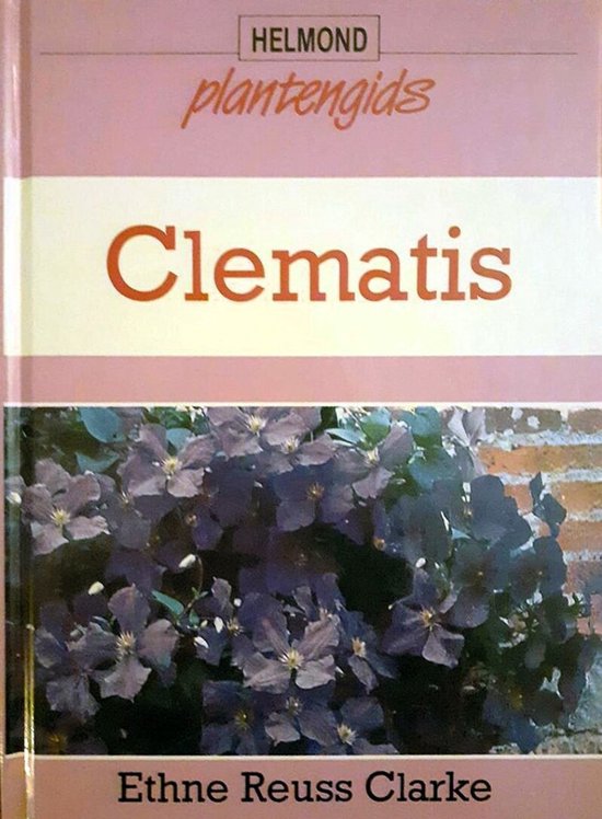 Clematis