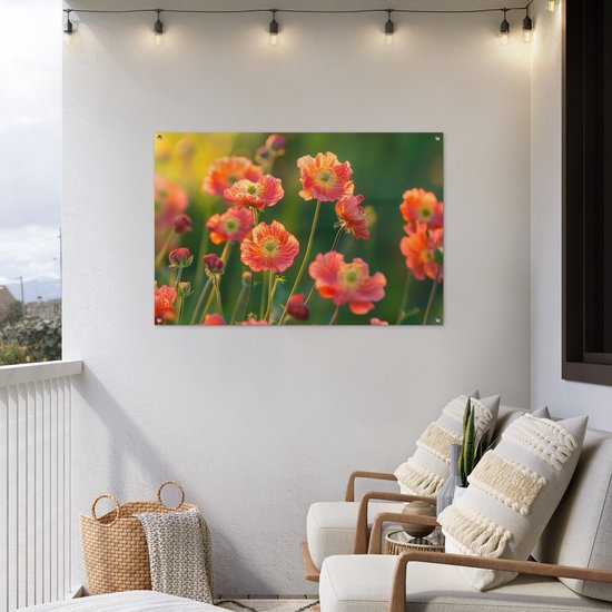 Een poster met oranje klaprozen op een terras, naast een zithoek met twee stoelen.