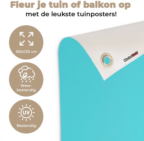 Tuinposter 160x120 cm - Tuindecoratie Ara - Koksmuts - Sokkel - Grappig - Poster voor in de tuin - Buiten decoratie - Schutting tuinschilderij - Tuindoek muurdecoratie - Wanddecoratie balkondoek