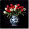 Tulpen - Rood - Wit