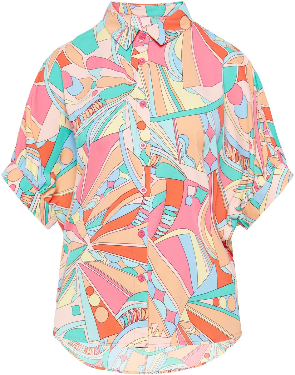 usha Blouse