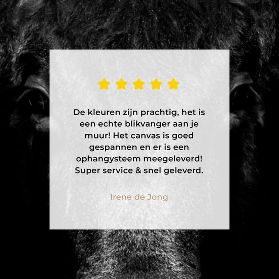 Toile - Animaux - Taureau - Zwart - Wit - Photo sur toile - 80x60 cm - Salon - Peintures sur toile