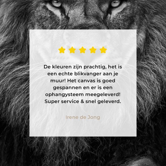 Tableau sur toile - Animaux sauvages - Lion - Zwart - Wit - Toile sur toile - Tableau sur toile - 80x120 cm - Salon - Décoration murale