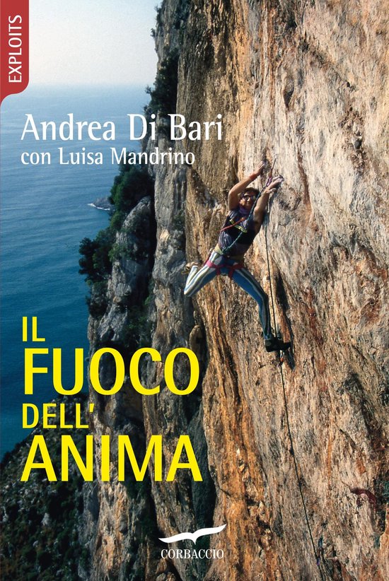 Il fuoco dell'anima - cover