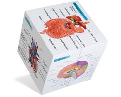 Menselijke Anatomie Poster Set - Studie Tool voor Medische Studenten - 9 Delen Hart, Spier, Skelet, Spijsvertering en Bloedsomloop