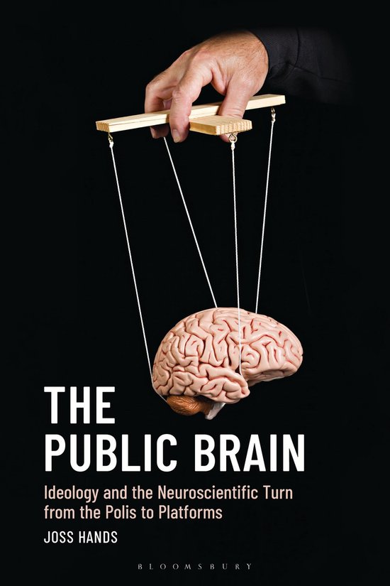 The Public Brain - cover