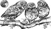 Owl Family Unmounted Rubber Stamps (CI-513)