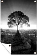Tuindecoratie Zonnestralen langs een boom op een mistige ochtend - zwart wit - 40x60 cm - Tuinposter - Tuindoek - Buitenposter