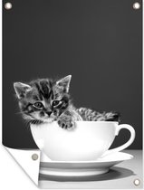 Tuinposter - Tuindoek - Tuinposters buiten - Een kitten in een kop met een schotel - zwart wit - 90x120 cm - Tuin