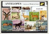 Antilopen – Luxe postzegel pakket (A6 formaat) : collectie van 50 verschillende postzegels van antilopen – kan als ansichtkaart in een A6 envelop - authentiek cadeau - kado - gesch