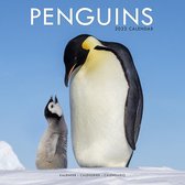 Penguins - Pinguine 2022 - 18-Monatskalender