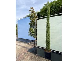 Cupressus Sempervirens Stricta - Italiaanse cipres - Totem - Winterhard - Pot ⌀ 33cm - Hoogte  300cm