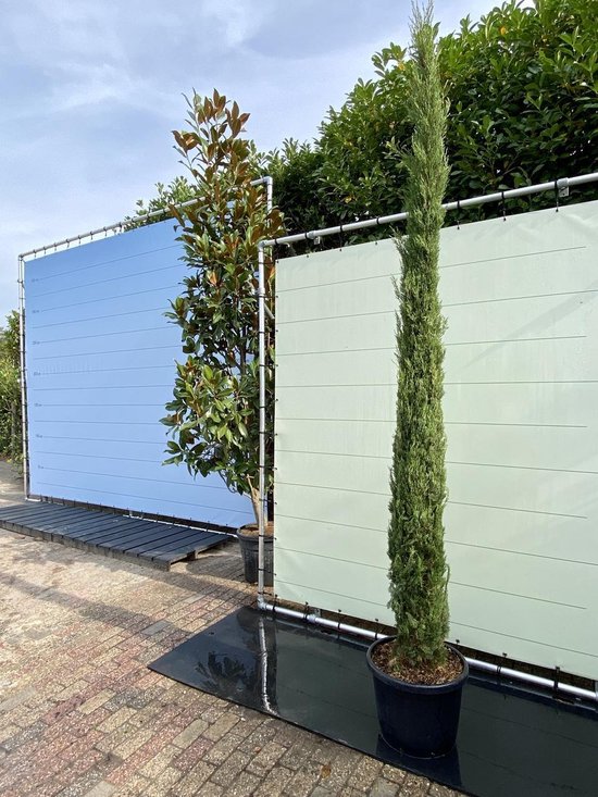 Cupressus sempervirens 'Pyramidalis' - Italiaanse cipres | De Tuinen