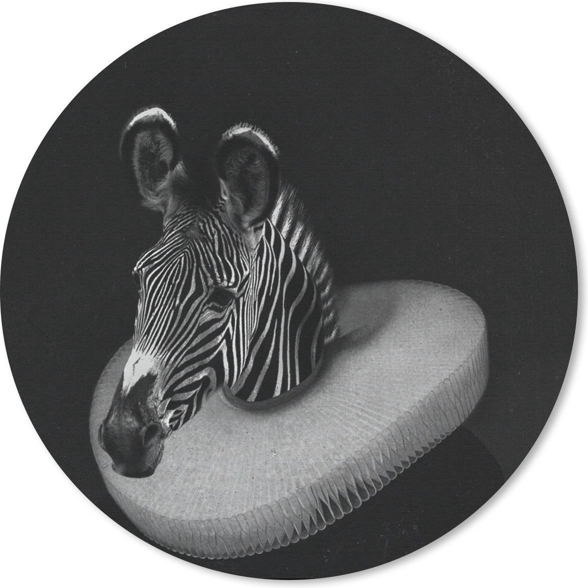 Muismat rond 40x40 cm - Mousepad Zebra - Schilderij - Zwart - Wit - Ronde muismatten