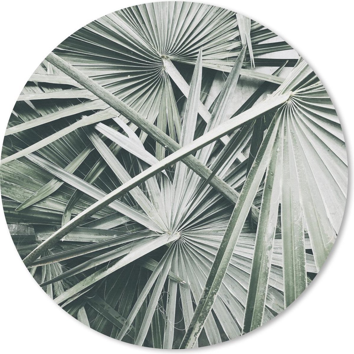 Muismat rond 40x40 cm - Mousepad Tropical - Palmblad - Groen - Ronde muismatten