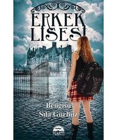 Erkek Lisesi