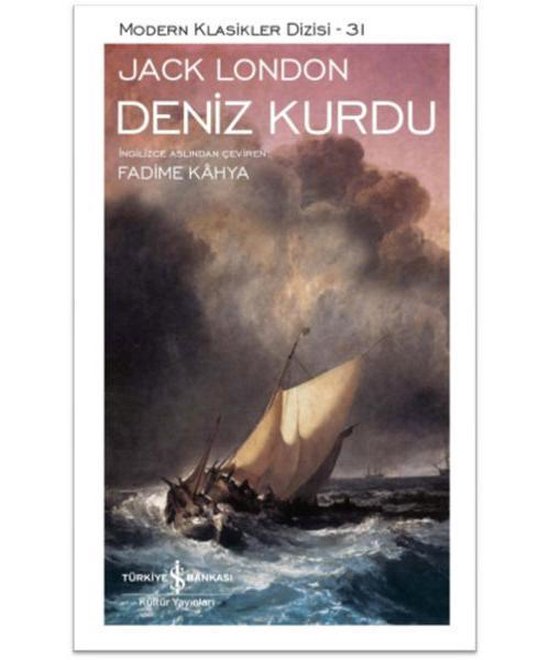 ISBN 9786053320883, Roman, Turc, 376 pages