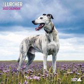 Lurcher Kalender 2022