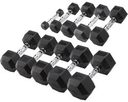 Body-Solid Hexa Rubber Dumbbell Set 1 -10 kg
