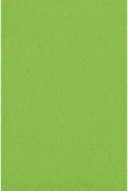 tafelkleed lime 137 x 274 cm