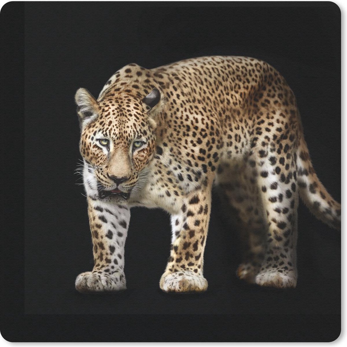 Muismat 20x20 cm - Mousepad Luipaard - Vacht - Wild - Muismatten