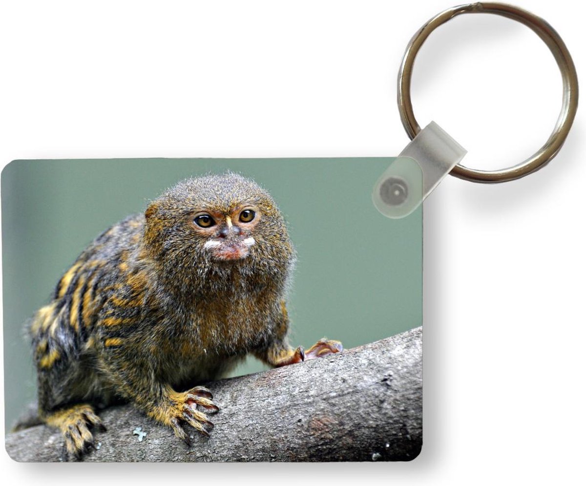 Porte-clés Ouistiti pygmée - Ouistiti pygmée sur une branche Porte-clés  plastique -... | bol