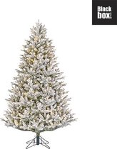 Black Box Trees Frasier kunstkerstboom met sneeuw en verlichting groen, wit 2,15 m x 1,45 m