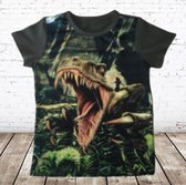 Dino shirt groen JM806 -s&C-146/152-t-shirts jongens