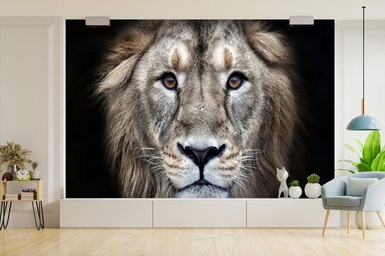 Papier peint - Papier peint photo Lion - Portrait - Sauvage - Largeur 420 cm x hauteur 280 cm