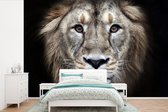 Papier peint - Papier peint photo Lion - Portrait - Sauvage - Largeur 330 cm x hauteur 220 cm