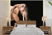 Behang - Fotobehang Olifant - Tanden - Dieren - Breedte 260 cm x hoogte 260 cm