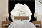 Papier peint - Papier peint photo peint Rose - Zwart - Wit - Largeur 220 cm x hauteur 220 cm