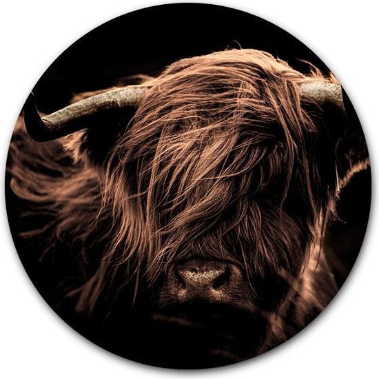Tuincirkel Schotse Hooglander Portret - WallCatcher | Tuinposter rond 80 cm | Buiten muurcirkel Highlander Portrait