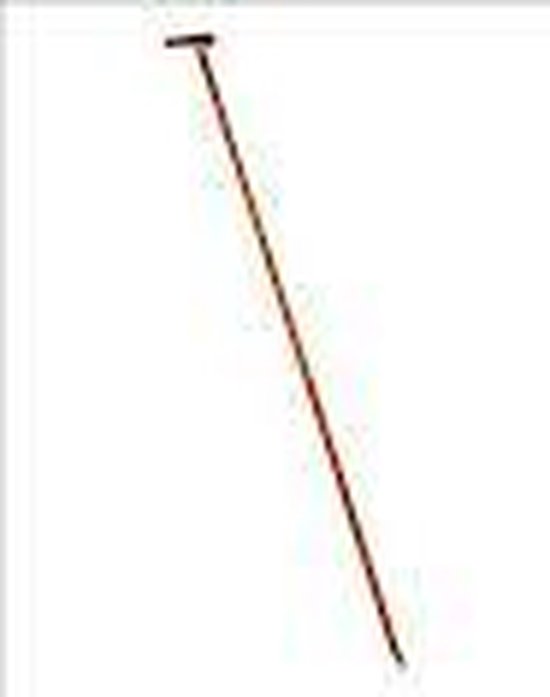 Talen Tools - Schoffelsteel - 160 cm - 33 mm doorsnee - Excl. Punt van Talen Tools — afbeelding 2