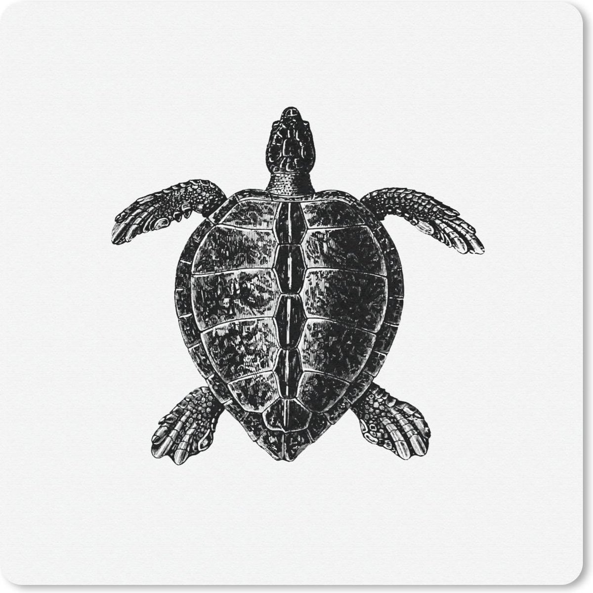 Muismat 30x30 cm - Mousepad Vintage - Schildpad - Dieren - Muismatten