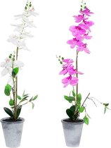 Decoratieve plant DKD Home Decor Wit Stof Keramiek Lila (2 pcs)